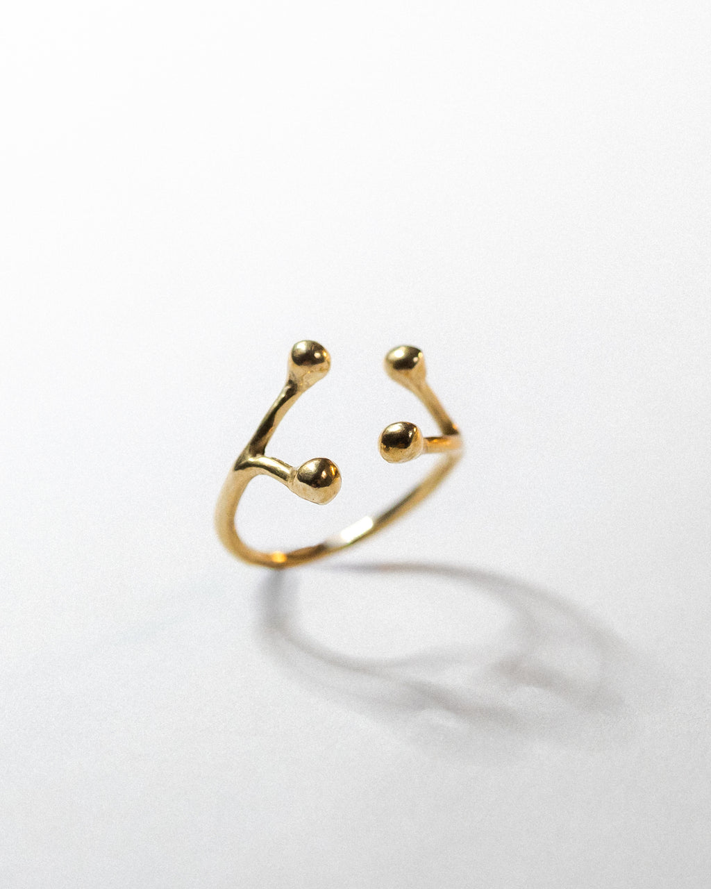 Anello Ramo