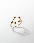 Anello Ramo