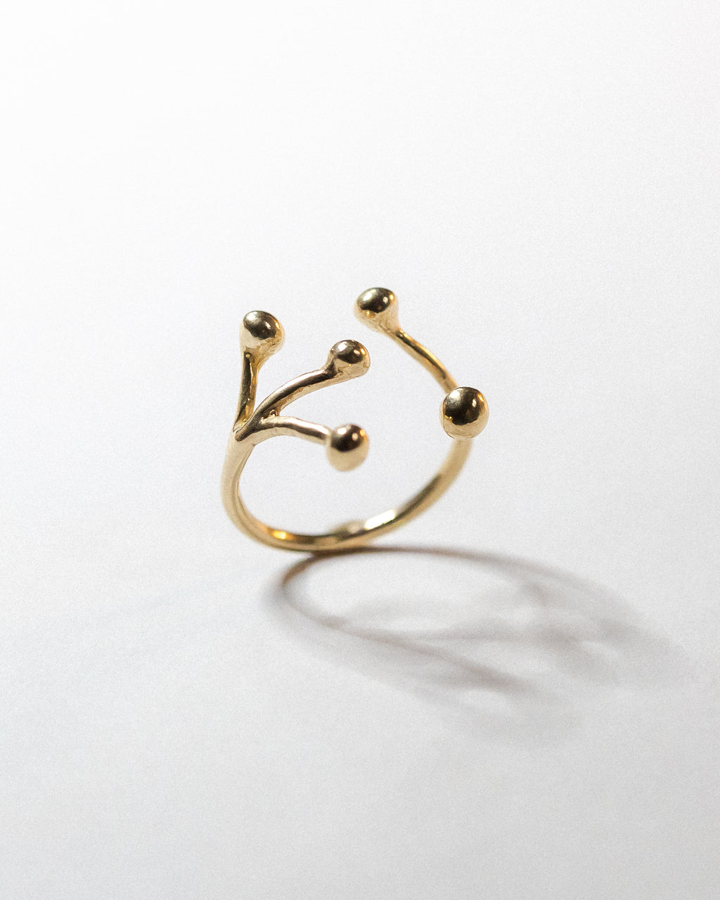 Anello Ramo