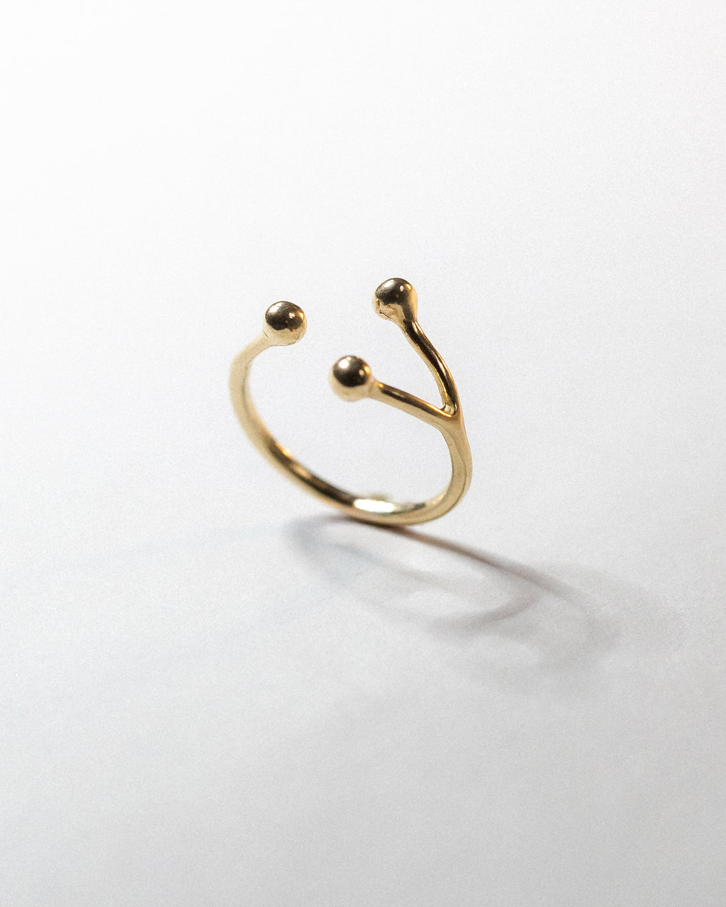 Anello Ramo