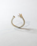 Anello Bilanciamento
