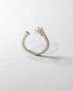 Anello Bilanciamento