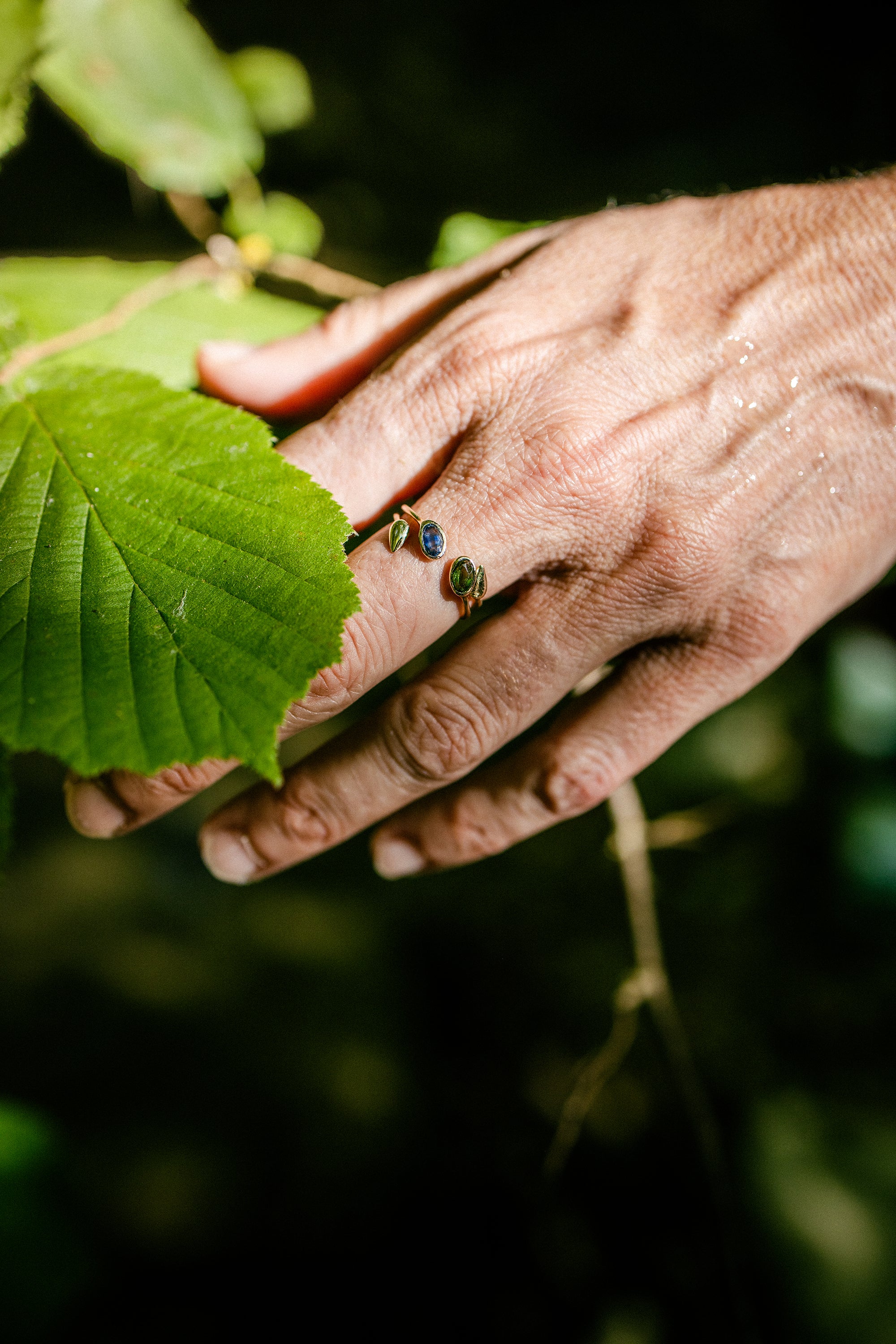 Anelli Foglia Komorebi - FORESTA