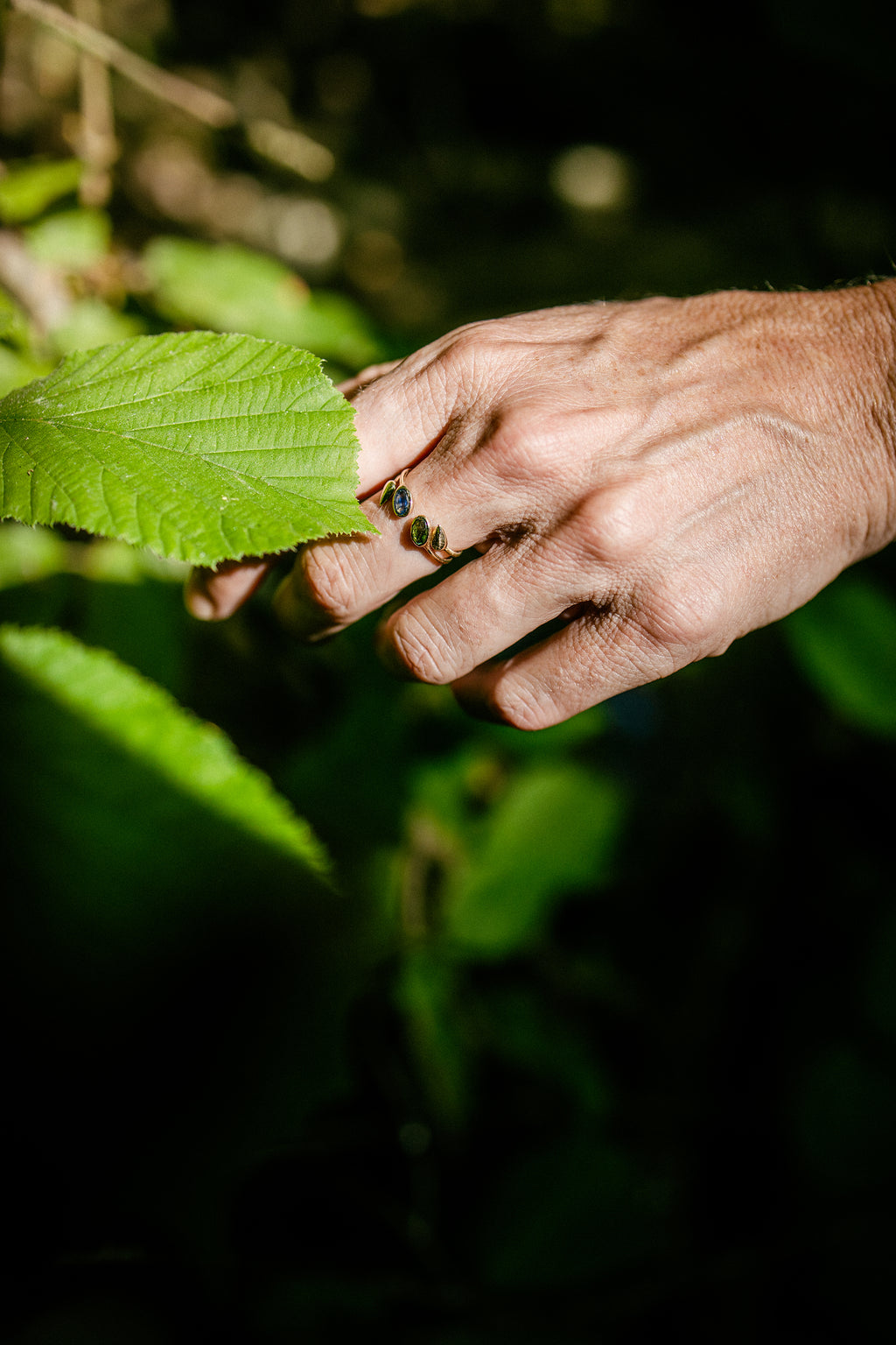 Anelli Foglia Komorebi - FORESTA