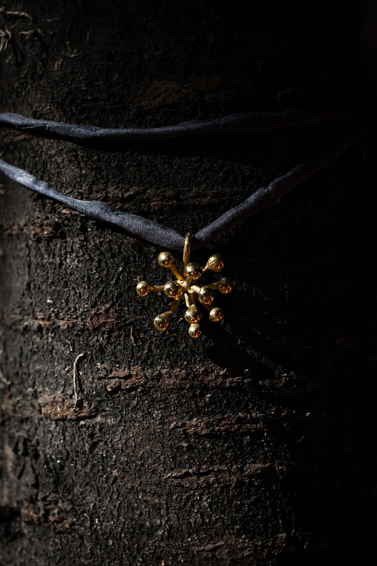 Collana Ivi