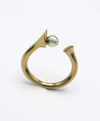 Anello Bilanciamento