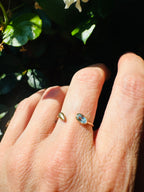 Anello foglia