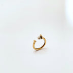 Anello Bilanciamento