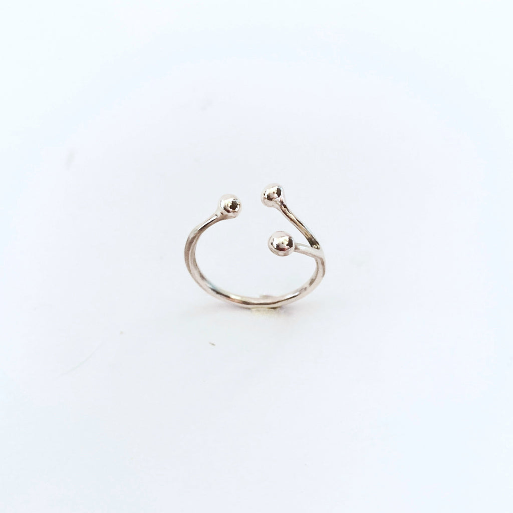 Anello Ramo