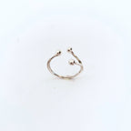 Anello Ramo