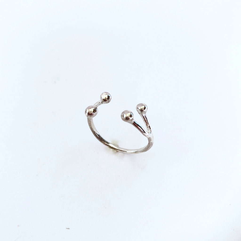 Anello Ramo