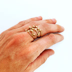Anello Ramo