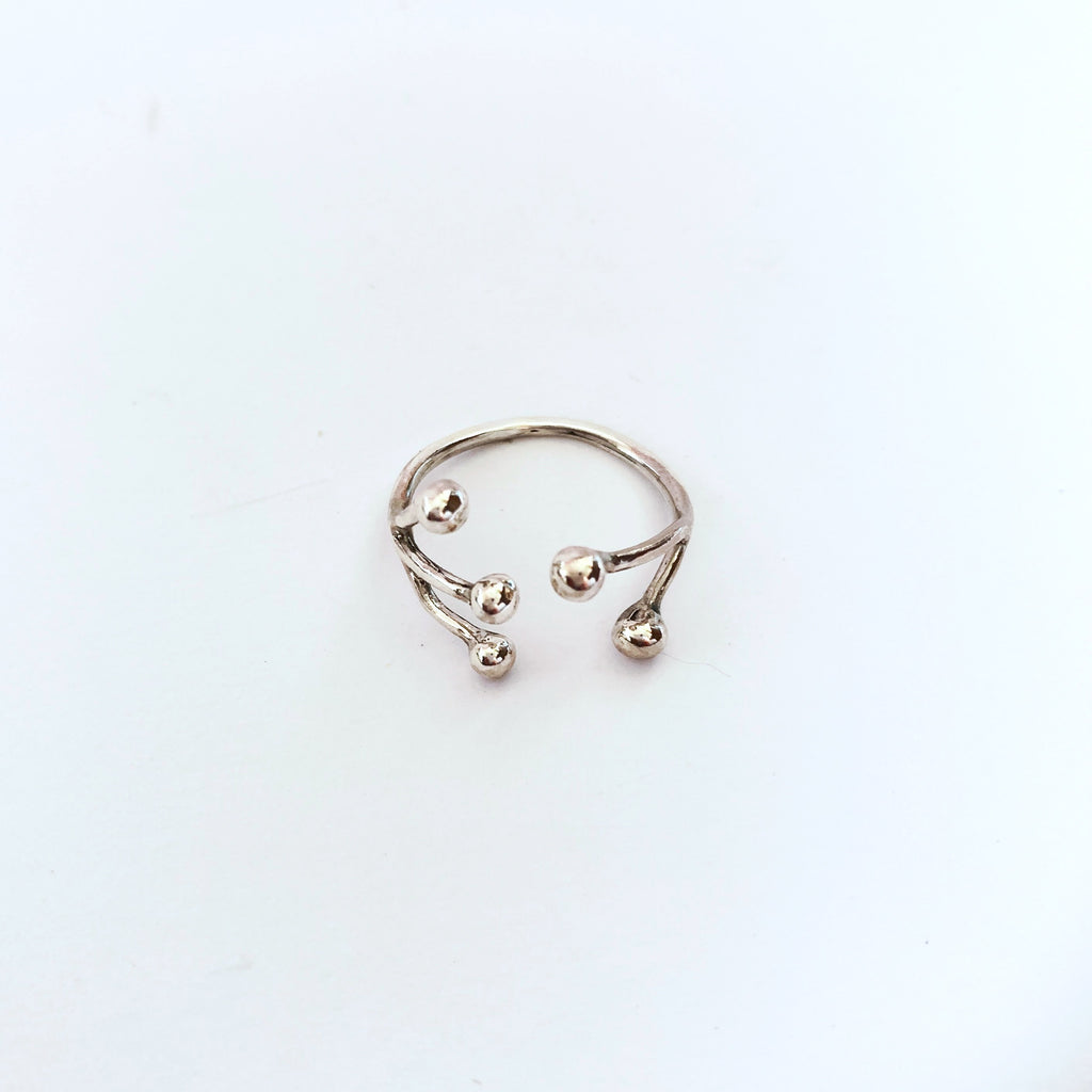 Anello Ramo