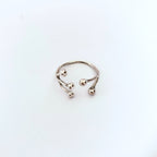 Anello Ramo